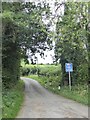 Country road near Plas Celyn