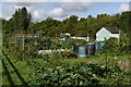 Allotments by the Pix Brook, Arlesey