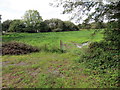 Llwybr ger Gelli-uchaf / Path near Gelli-uchaf