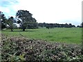 Fields near Whitfield House