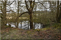 TQ5744 : Pond in woodland by N Chadwick