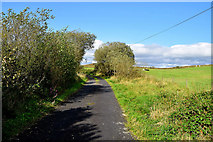H5777 : Lough Fingrean Road, Loughmacrory by Kenneth  Allen