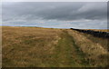 SE1443 : Path on Hawksworth Moor by Chris Heaton