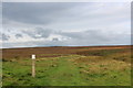SE1443 : Hawksworth Moor by Chris Heaton