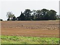 SE4555 : Towards Westfield farm by Gordon Hatton