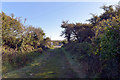 Path from Kuggar to Gwendreath Farm approaching Seaview Holiday Park