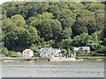 SX8852 : Higher  Ferry  landing  on  the  eastern  shore  of  River  Dart by Martin Dawes