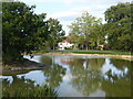 Lingfield Lodge Farm