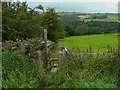 Footpath down the hillside from Thurstonland Bank