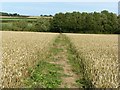 Footpath on Cork Hill