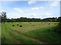 Cut silage field and bales near the River Ure