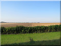TL5963 : Huge fields south-east of The Devil's Dyke by John Sutton