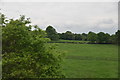 Pasture south of Wilmslow