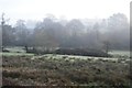 Rough grassland, The Frome Valley