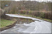 TQ5644 : Localised flooding, Upper Haysden Lane by N Chadwick