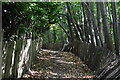 Footpath by Maidstone Hospital