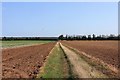 Bridleway towards Gosmere