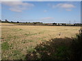 Stubble in field near Shifnal Manor