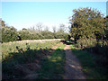 Footpath, Oughtonhead Common