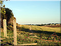 Footpath across Holdings Farm