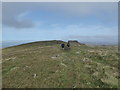 SJ0732 : Walking on the Berwyn ridge by Jeremy Bolwell