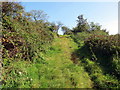 Heol las ger Maes-yr-haidd / Green lane near Maes-yr-haidd