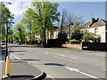 Villas and lime trees, Adelaide Road, Leamington