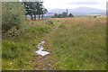 Wildcat Trail nearing Glen Banchor road