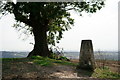 TQ3054 : Triangulation Point on the North Downs by Peter Trimming