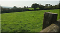 Field near Gribblesdown