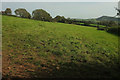 Field near Gribblesdown