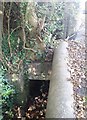 Overgrown Footbridge