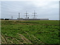 Grazing near Denend Croft