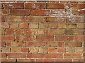 SO8953 : English garden wall bond by Philip Halling
