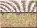 Old barn in Palterton.