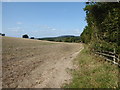 Field edge footpath towards Wyke