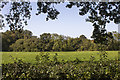 Fields off Packhorse Lane