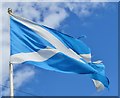 Johnshaven - Saltire