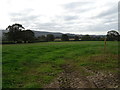 Grazing near Kelmire Grange Farm