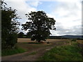 Farm track off High Lane