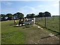 Alpacas on a footpath