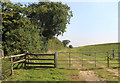 Between the Quarry and the Incinerator