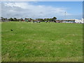 Playing fields, Clerkhill Primary School, Peterhead