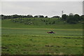 Farmland in the Meece Brook Valley