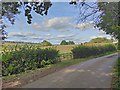 Minor road towards Chafford Bridge