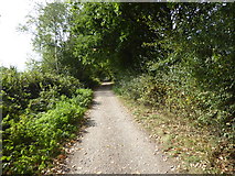 TQ4635 : Forest Way by Marathon