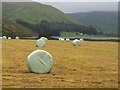 NT2420 : Silage bales by the Loch of the Lowes by Graham Hogg