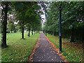 Tree lined footpath near Palace Grounds Retail Park, Hamilton