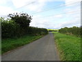 Delf Lane towards Borrowby