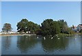 The Lake, Herne Bay Memorial Park